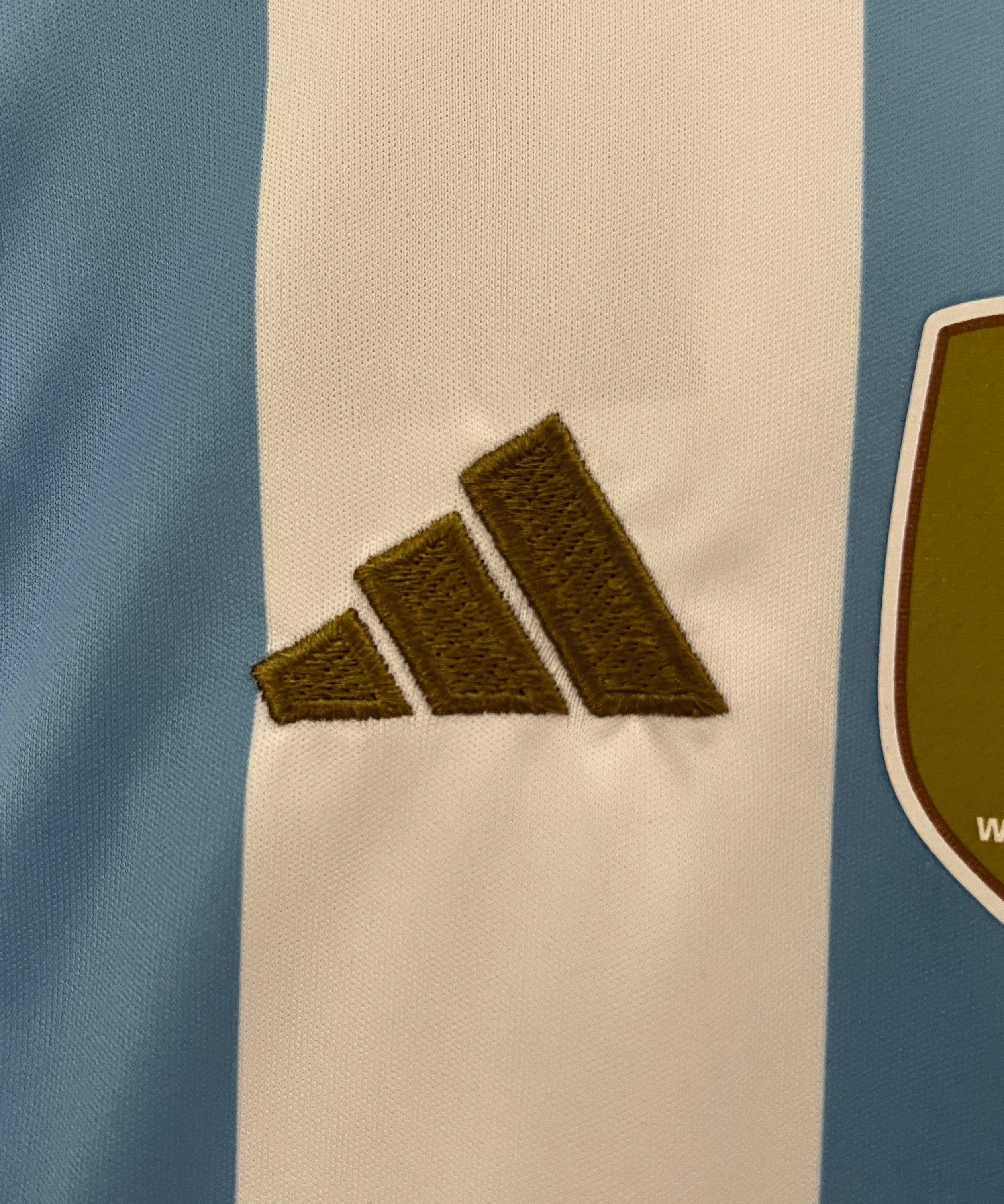 Argentina 2024 Home Jersey Kids