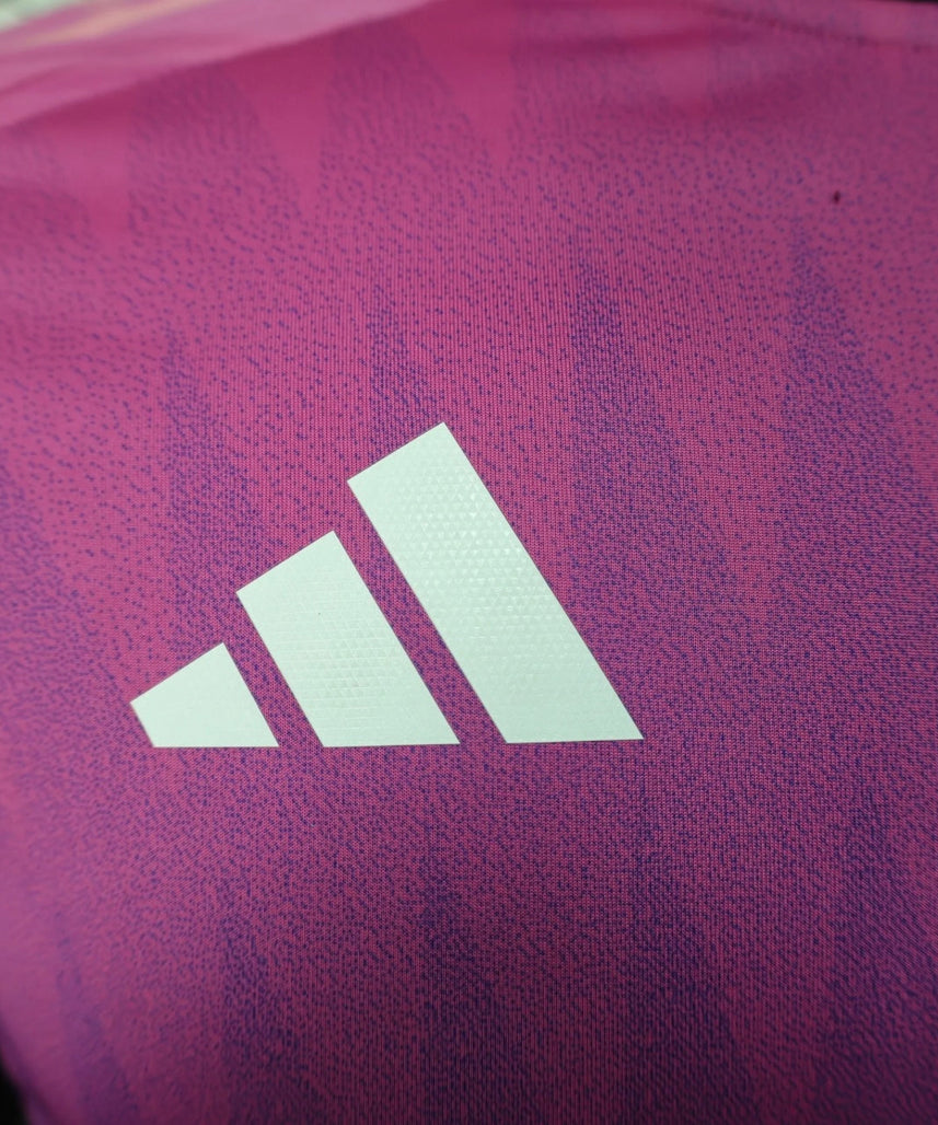 Germany 2024-2025 Away Kit