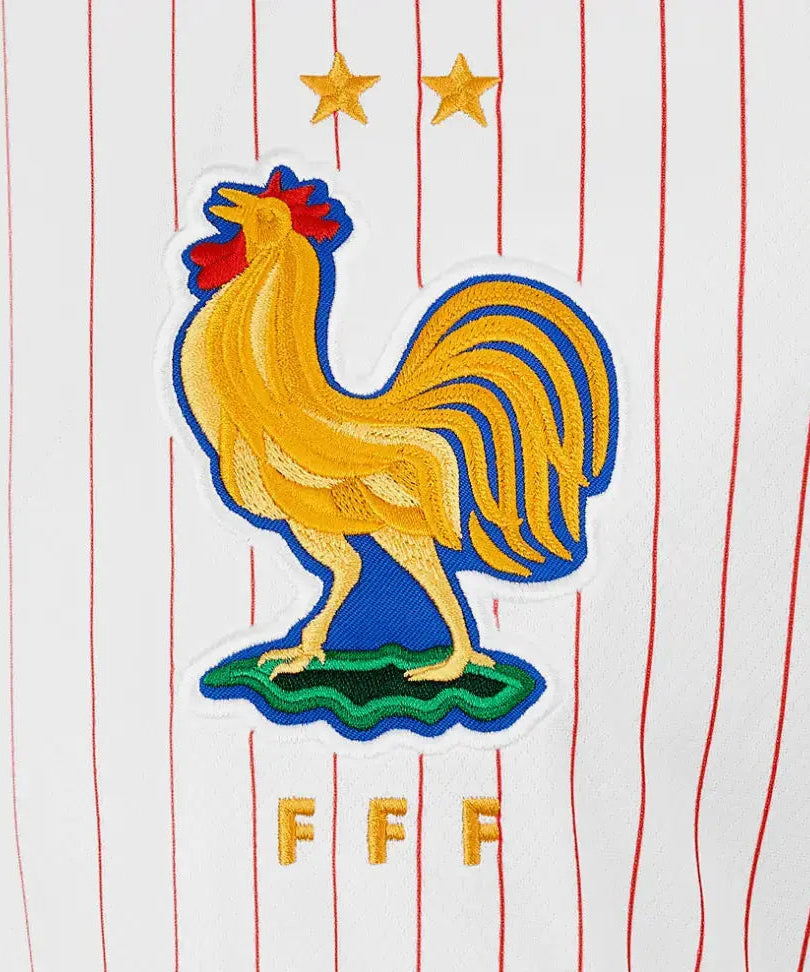 MAILLOT STUSSY X FRANCE