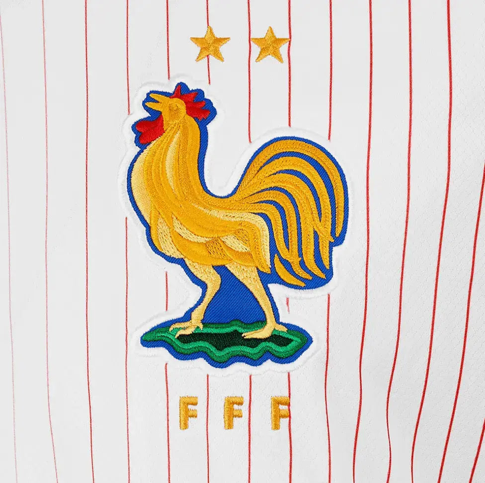 MAILLOT STUSSY X FRANCE