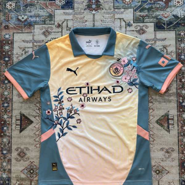 Manchester City Embroidered Jersey 2024/2025